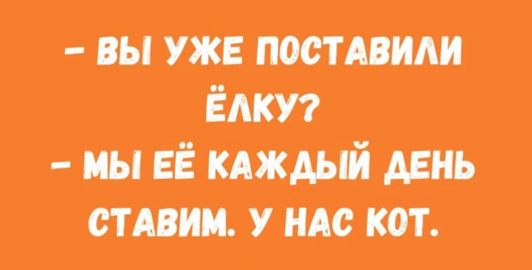Funny picture